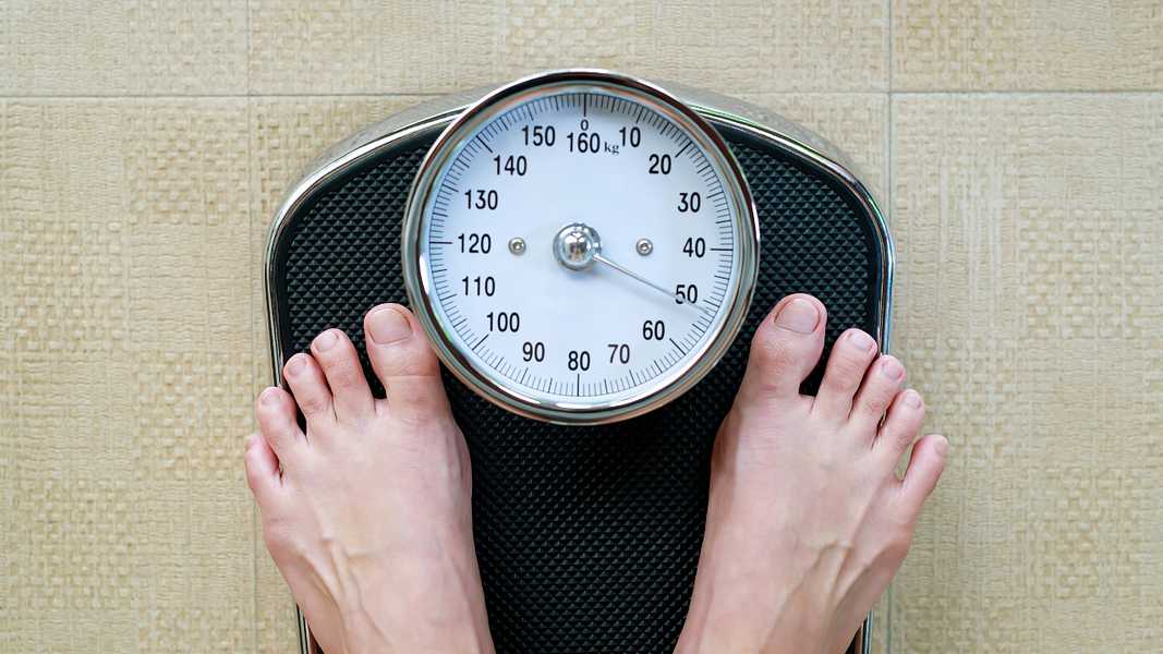 Reading Scale Weight Guide
