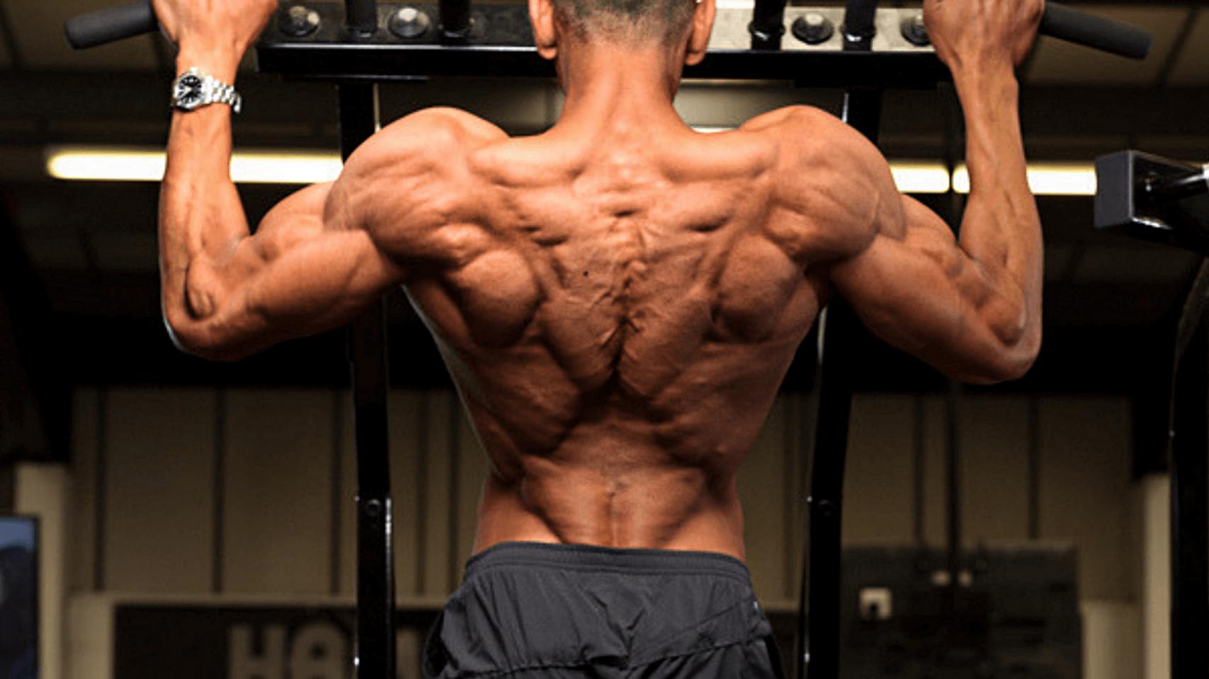 RNT Body Part Series, Part 1: Two Tips To Double Your Back Gains