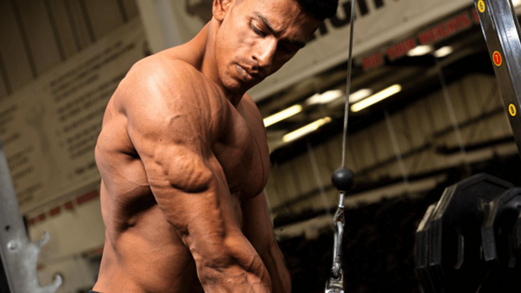 RNT Body Part Series, Part 6: Two Tips To Double Your Triceps Gains