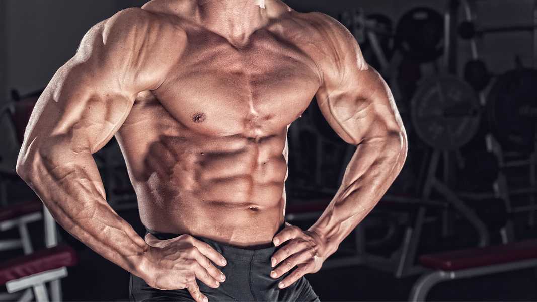Training For Fat Loss Vs. Muscle Growth