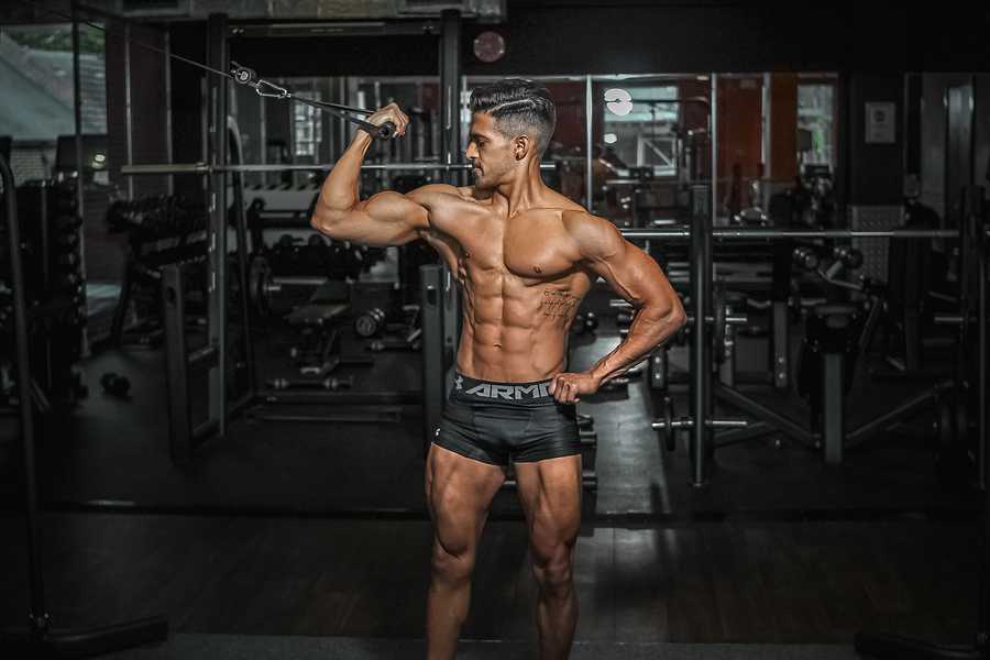 Optimising Health, Fat Loss & Muscle Building On A Vegan Diet